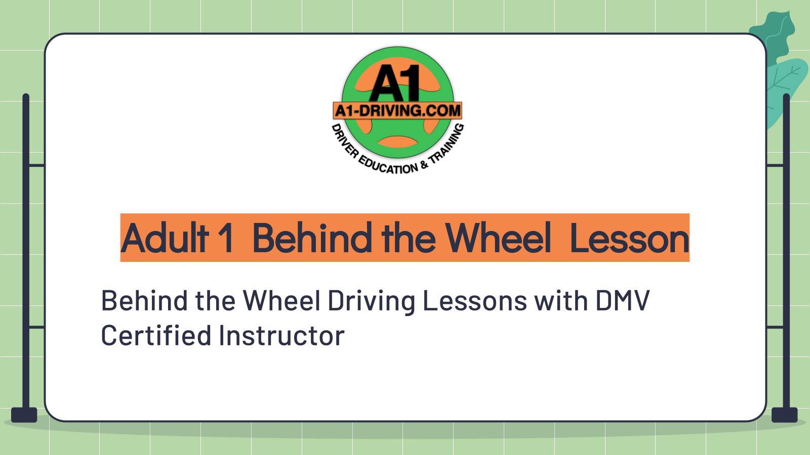 Adult 1 behind the wheel lesson